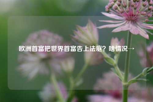 欧洲首富把世界首富告上法庭？啥情况→