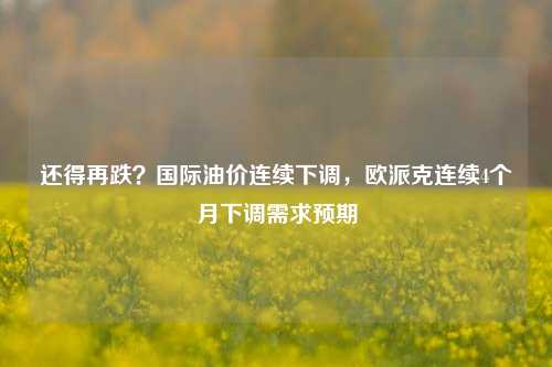 还得再跌？国际油价连续下调，欧派克连续4个月下调需求预期