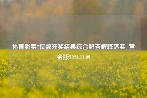 体育彩票7位数开奖结果综合解答解释落实_黄金版2024.11.09