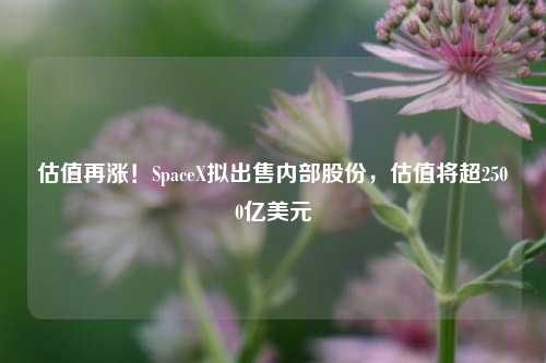 估值再涨！SpaceX拟出售内部股份，估值将超2500亿美元