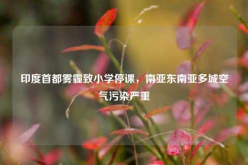 印度首都雾霾致小学停课，南亚东南亚多城空气污染严重