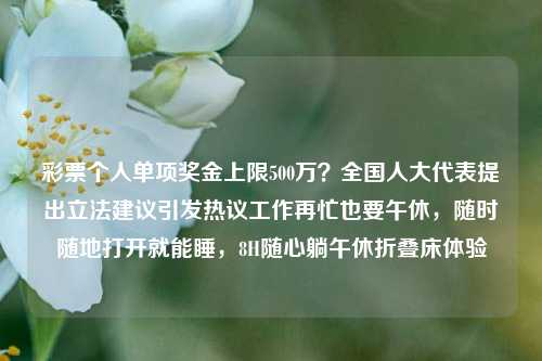 彩票个人单项奖金上限500万？全国人大代表提出立法建议引发热议工作再忙也要午休，随时随地打开就能睡，8H随心躺午休折叠床体验