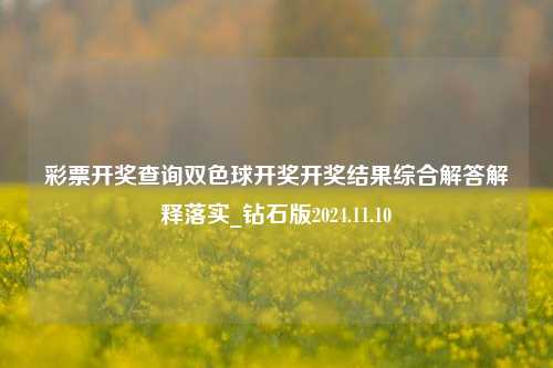 彩票开奖查询双色球开奖开奖结果综合解答解释落实_钻石版2024.11.10