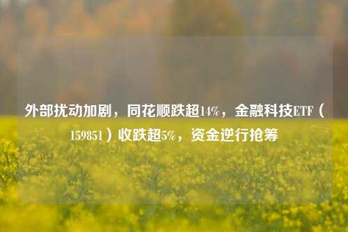 外部扰动加剧，同花顺跌超14%，金融科技ETF（159851）收跌超5%，资金逆行抢筹