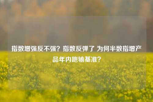 指数增强反不强？指数反弹了 为何半数指增产品年内跑输基准？