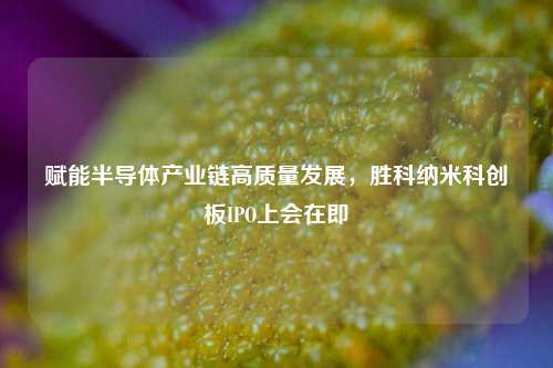 赋能半导体产业链高质量发展，胜科纳米科创板IPO上会在即