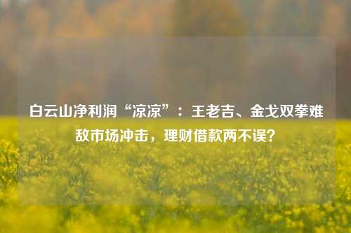 白云山净利润“凉凉”：王老吉、金戈双拳难敌市场冲击，理财借款两不误？