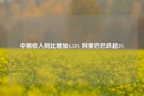 中期收入同比增加4.53% 阿里巴巴跌超3%