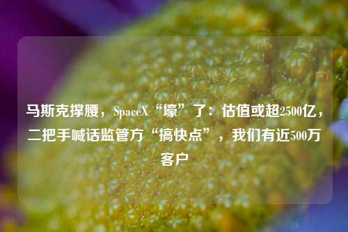 马斯克撑腰，SpaceX“壕”了：估值或超2500亿，二把手喊话监管方“搞快点”，我们有近500万客户