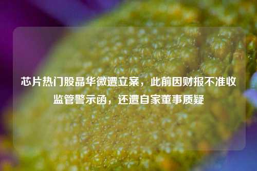 芯片热门股晶华微遭立案，此前因财报不准收监管警示函，还遭自家董事质疑