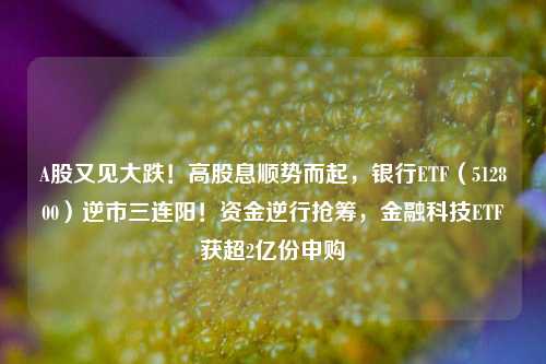 A股又见大跌！高股息顺势而起，银行ETF（512800）逆市三连阳！资金逆行抢筹，金融科技ETF获超2亿份申购