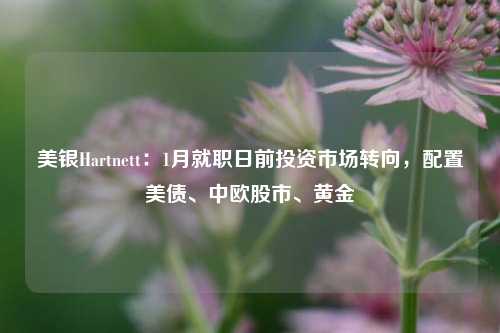 美银Hartnett：1月就职日前投资市场转向，配置美债、中欧股市、黄金