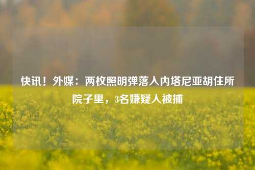 快讯！外媒：两枚照明弹落入内塔尼亚胡住所院子里，3名嫌疑人被捕