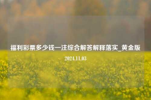 福利彩票多少钱一注综合解答解释落实_黄金版2024.11.03