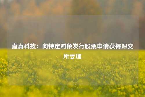 直真科技：向特定对象发行股票申请获得深交所受理