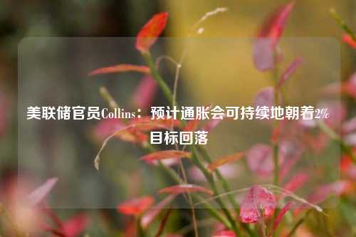 美联储官员Collins：预计通胀会可持续地朝着2%目标回落