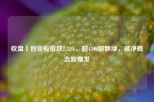 收盘丨创业板指跌2.35%，超4100股飘绿，破净概念股爆发