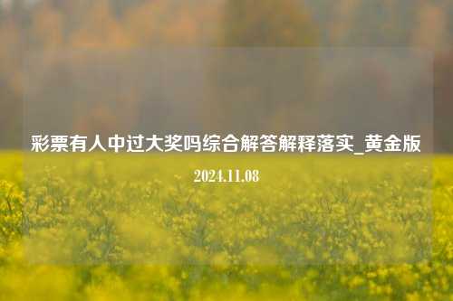 彩票有人中过大奖吗综合解答解释落实_黄金版2024.11.08