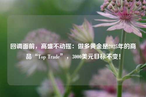 回调面前，高盛不动摇：做多黄金是2025年的商品“Top Trade”，3000美元目标不变！