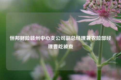 恒邦财险赣州中心支公司副总经理兼农险部经理曹屹被查