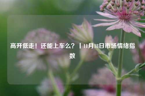 高开低走！还能上车么？丨11月18日市场情绪指数