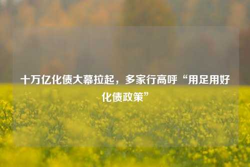 十万亿化债大幕拉起，多家行高呼“用足用好化债政策”