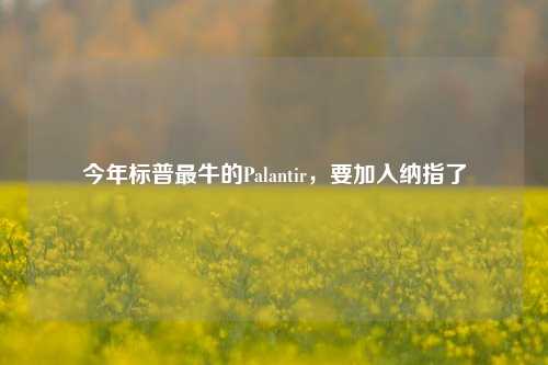 今年标普最牛的Palantir，要加入纳指了