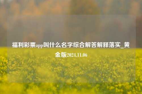 福利彩票app叫什么名字综合解答解释落实_黄金版2024.11.06