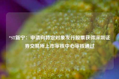 *ST新宁：申请向特定对象发行股票获得深圳证券交易所上市审核中心审核通过