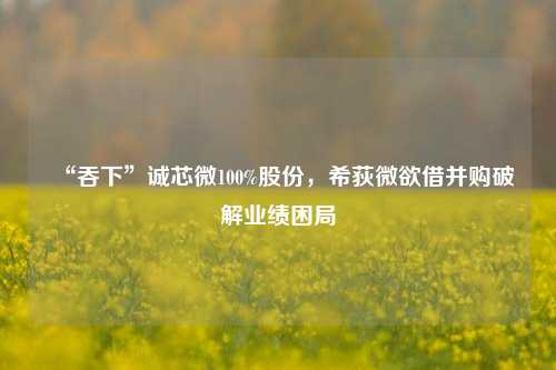 “吞下”诚芯微100%股份，希荻微欲借并购破解业绩困局