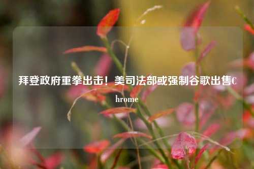 拜登政府重拳出击！美司法部或强制谷歌出售Chrome