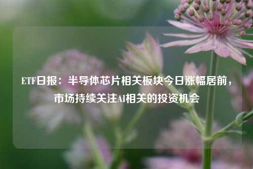 ETF日报：半导体芯片相关板块今日涨幅居前，市场持续关注AI相关的投资机会