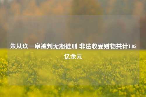 朱从玖一审被判无期徒刑 非法收受财物共计1.05亿余元