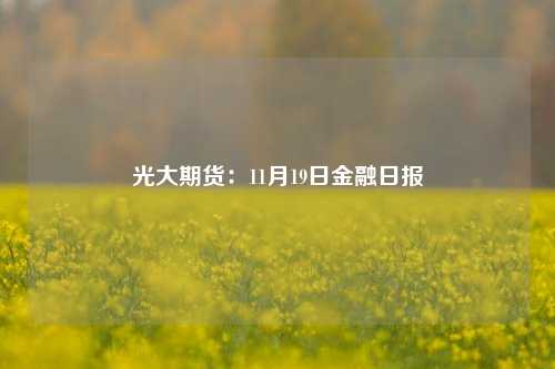 光大期货：11月19日金融日报