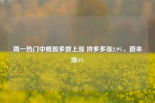 周一热门中概股多数上涨 拼多多涨2.9%，蔚来涨4%