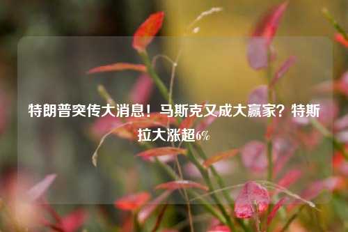 特朗普突传大消息！马斯克又成大赢家？特斯拉大涨超6%