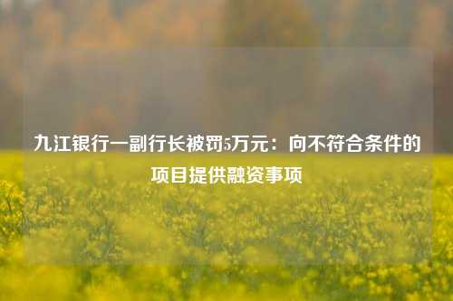 九江银行一副行长被罚5万元：向不符合条件的项目提供融资事项