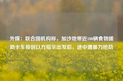 外媒：联合国机构称，加沙地带近100辆食物援助卡车接到以方指示出发后，途中遭暴力抢劫