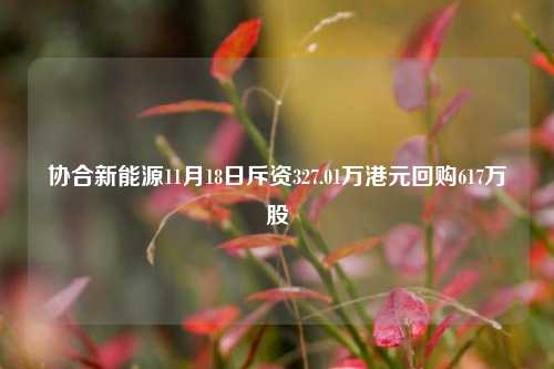 协合新能源11月18日斥资327.01万港元回购617万股