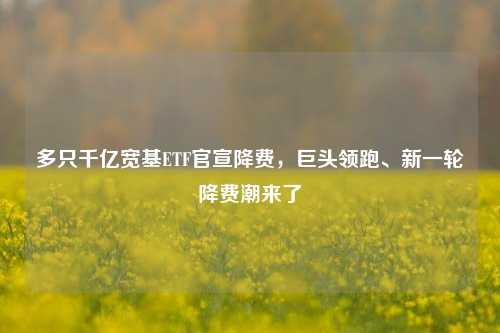 多只千亿宽基ETF官宣降费，巨头领跑、新一轮降费潮来了