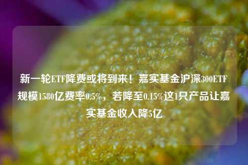 新一轮ETF降费或将到来！嘉实基金沪深300ETF规模1580亿费率0.5%，若降至0.15%这1只产品让嘉实基金收入降5亿