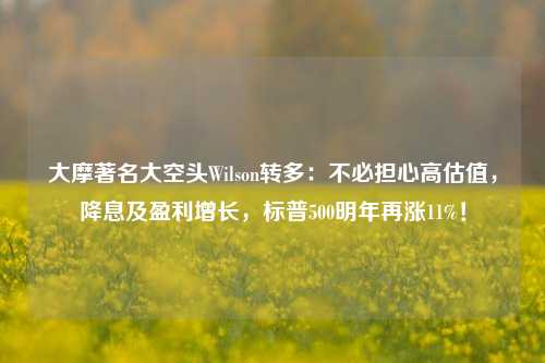 大摩著名大空头Wilson转多：不必担心高估值，降息及盈利增长，标普500明年再涨11%！