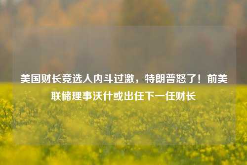 美国财长竞选人内斗过激，特朗普怒了！前美联储理事沃什或出任下一任财长