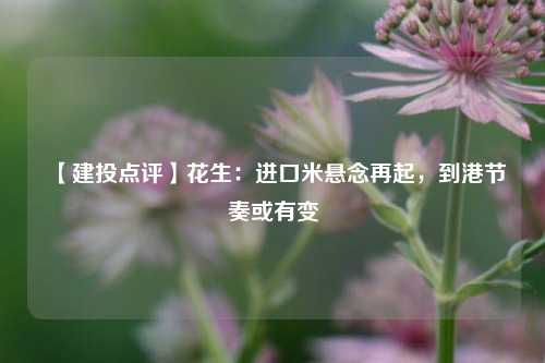 【建投点评】花生：进口米悬念再起，到港节奏或有变