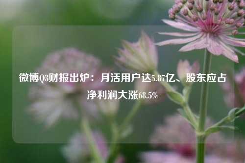 微博Q3财报出炉：月活用户达5.87亿、股东应占净利润大涨68.5%