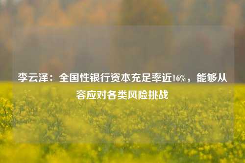 李云泽：全国性银行资本充足率近16%，能够从容应对各类风险挑战