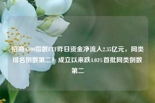 招商A500指数ETF昨日资金净流入2.35亿元，同类排名倒数第二！成立以来跌4.03%首批同类倒数第二