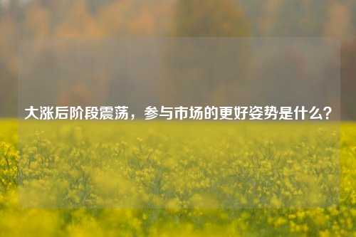 大涨后阶段震荡，参与市场的更好姿势是什么？