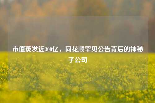 市值蒸发近300亿，同花顺罕见公告背后的神秘子公司