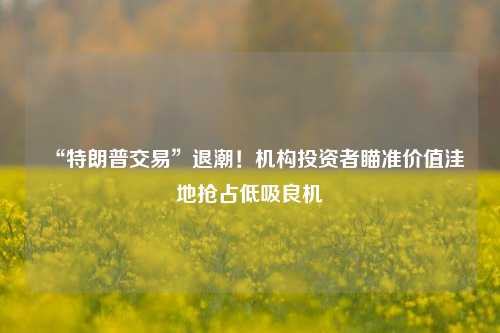 “特朗普交易”退潮！机构投资者瞄准价值洼地抢占低吸良机